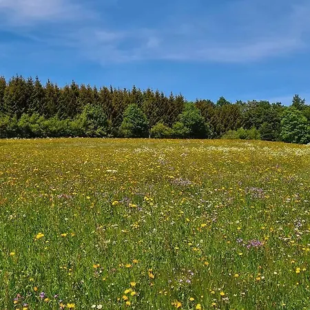 La Larmontine, Tiny House Montagnarde 木屋 蓬塔利耶